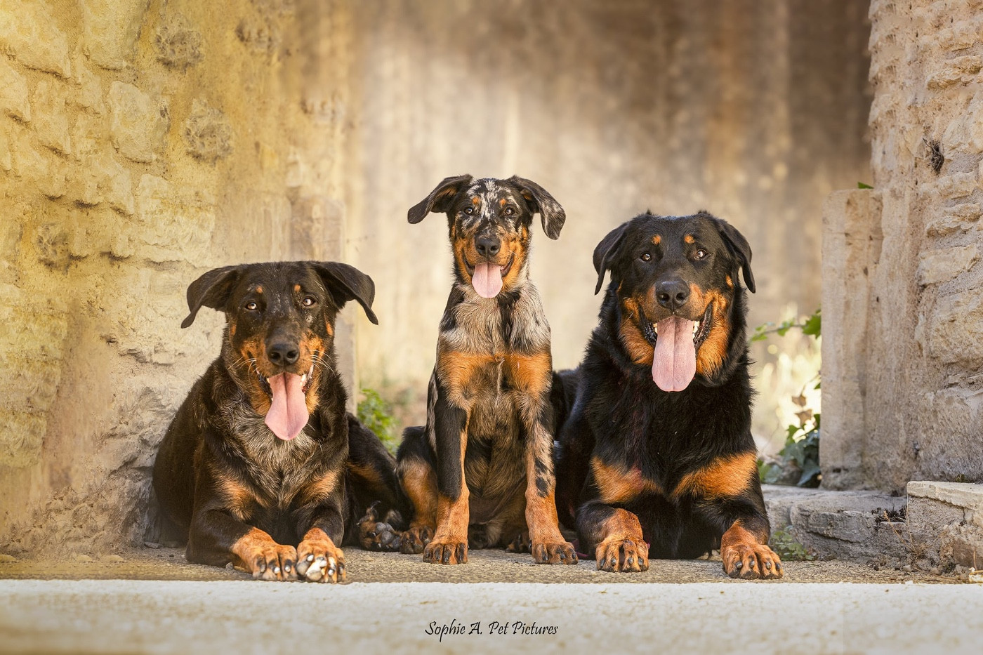 Photo de famille